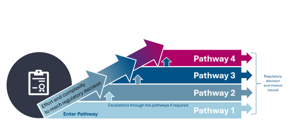 Performance Assessment Decisions
