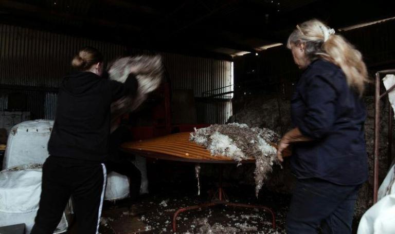 Wool classing students processing wool in a workshed