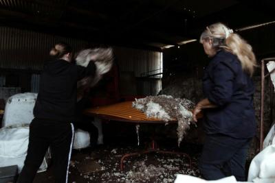 Wool classing students