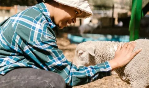 Female student petting a sheep and smiling